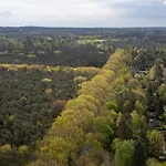 Boshuis De Roerdomp
