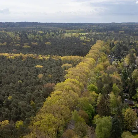Boshuis De Roerdomp