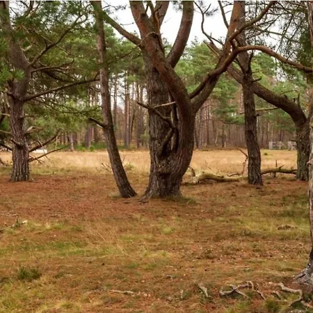 Boshuis De Roerdomp Apartmán