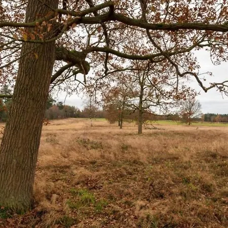 Boshuis De Roerdomp