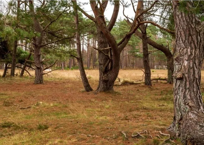 Boshuis De Roerdomp Apartmán