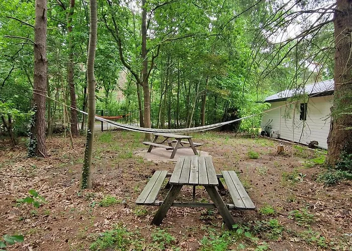 Boshuis De Roerdomp * Hattemerbroek